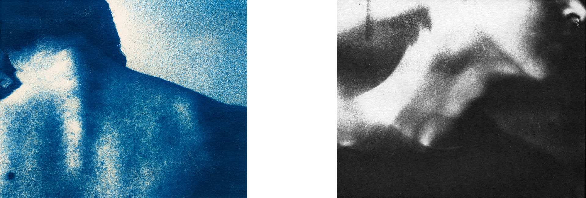 cyantype dyptic of front and back of neck